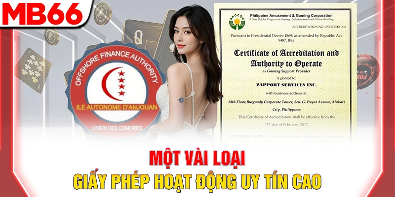 Một vài loại giấy phép hoạt động uy tín cao