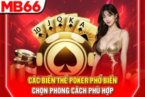 Các Biến Thể Poker Phổ Biến - Chọn Phong Cách Phù Hợp
