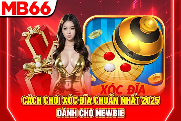 Cách Chơi Xóc Đĩa Chuẩn Nhất 2025 Dành Cho Newbie